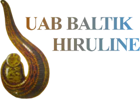 baltik hiruline