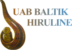 baltik hiruline
